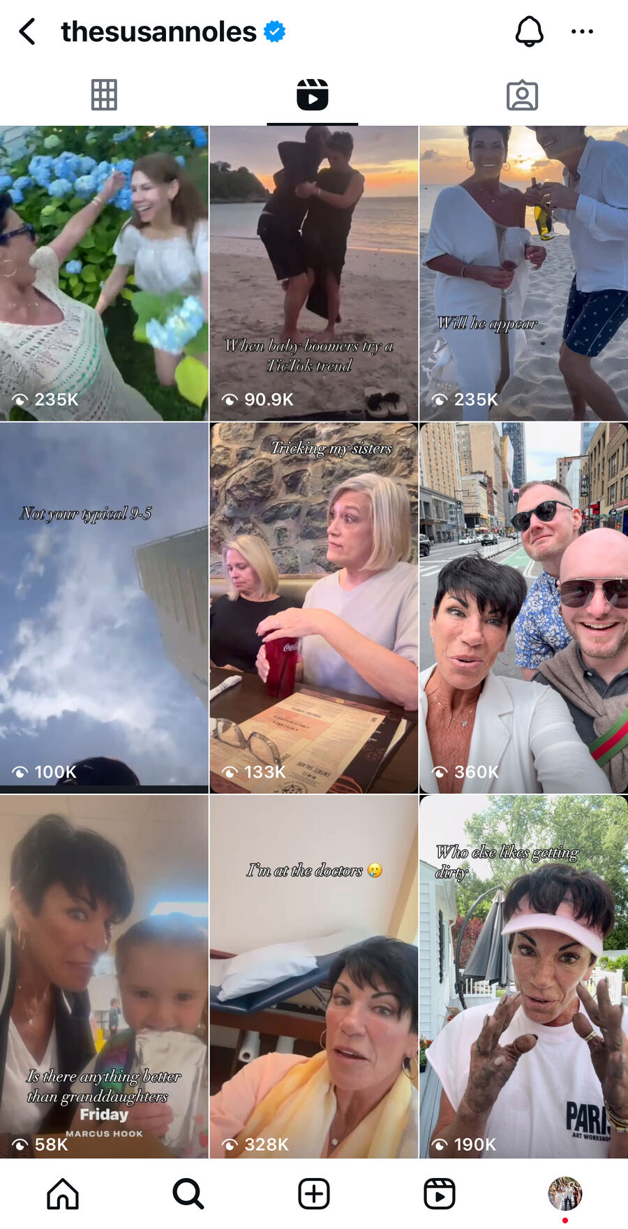 Susan Noles Instagram Analytics